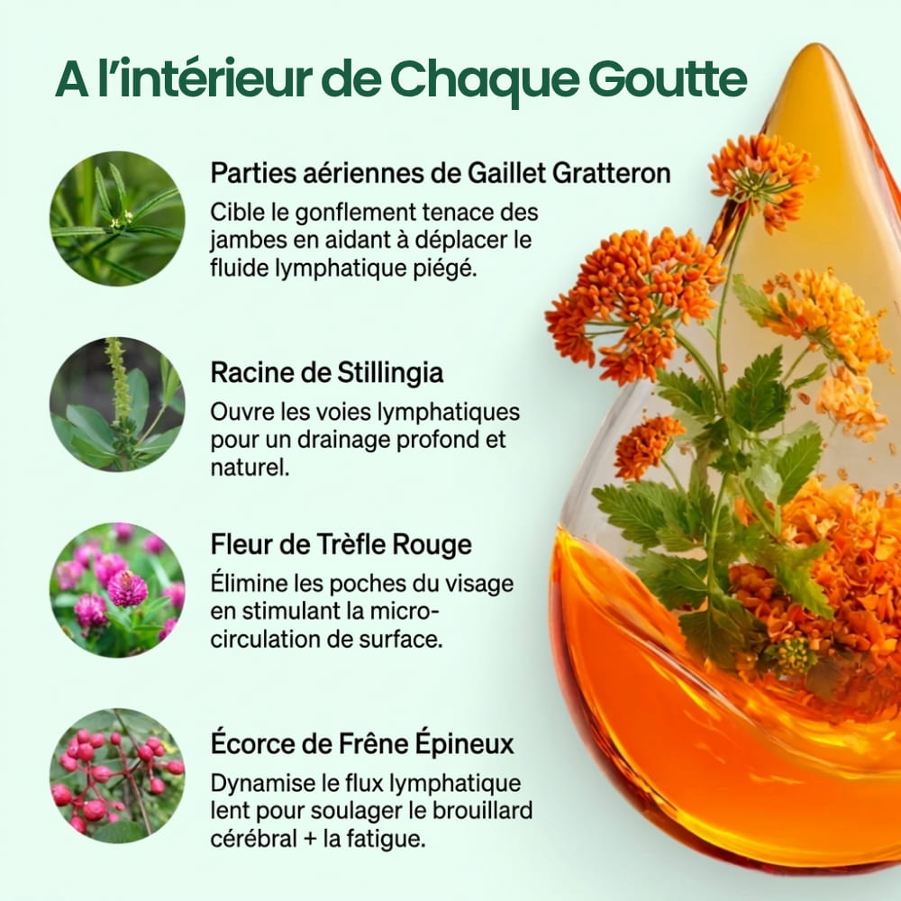 Flova - Drainant lymphatique