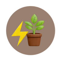 Formule 100% plantes et sans sucres